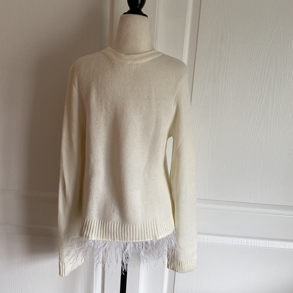 NWOT Anthropologie super cute cream crewneck sweater with feather trim - Picture 2 of 5